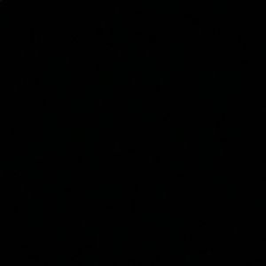 Meet your Posher, Lesleigh